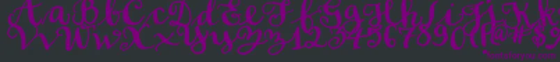 SoftScript Font – Purple Fonts on Black Background