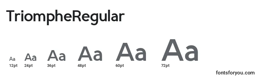 Размеры шрифта TriompheRegular