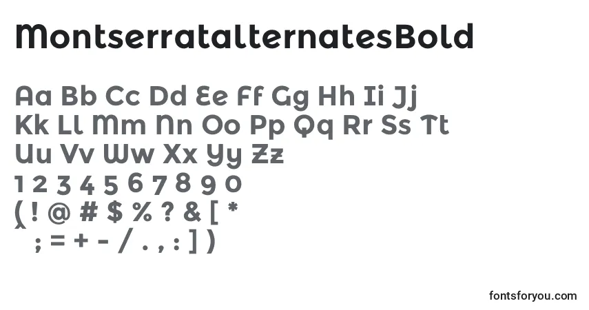 Czcionka MontserratalternatesBold – alfabet, cyfry, specjalne znaki