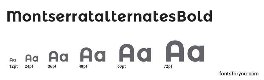 Размеры шрифта MontserratalternatesBold