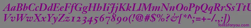 JansonOldstyleSsiBold Font – Purple Fonts on Gray Background