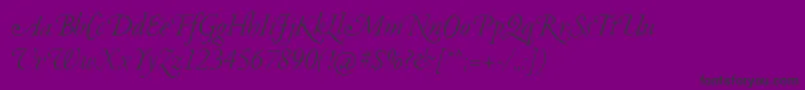フォントGaramondSwashItalic – 紫の背景に黒い文字