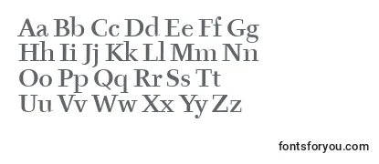 Review of the TyfaItcMedium Font