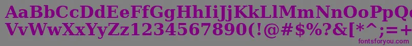 フォントVerasebd – 紫色のフォント、灰色の背景