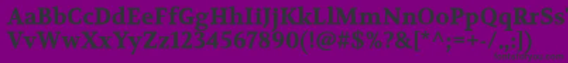 VolkhovBold Font – Black Fonts on Purple Background