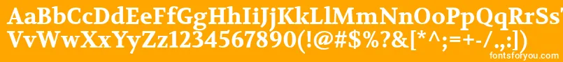 フォントVolkhovBold – オレンジの背景に白い文字