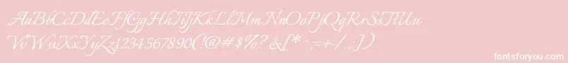 ItaliannoRegular Font – White Fonts on Pink Background
