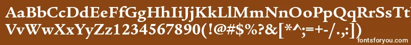 フォントLegacyserifstdBold – 茶色の背景に白い文字