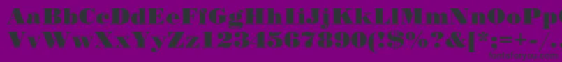 Standardposterc Font – Black Fonts on Purple Background