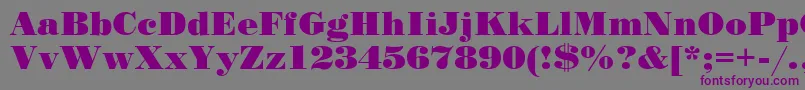 Standardposterc Font – Purple Fonts on Gray Background