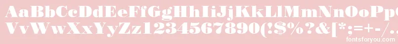 Standardposterc Font – White Fonts on Pink Background