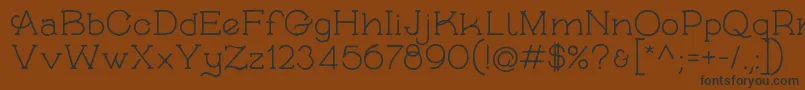 フォントSkybirdRough – 黒い文字が茶色の背景にあります