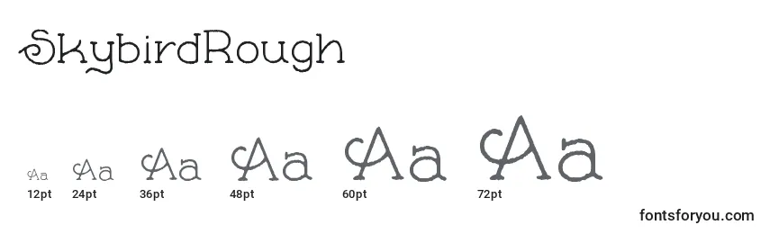 SkybirdRough Font Sizes