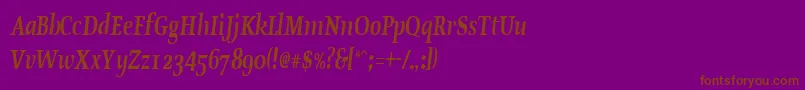 OldstylecondensedBoldItalic Font – Brown Fonts on Purple Background