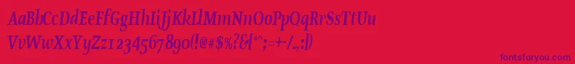 OldstylecondensedBoldItalic Font – Purple Fonts on Red Background