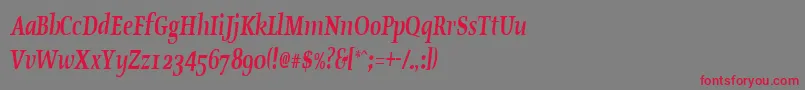 OldstylecondensedBoldItalic Font – Red Fonts on Gray Background
