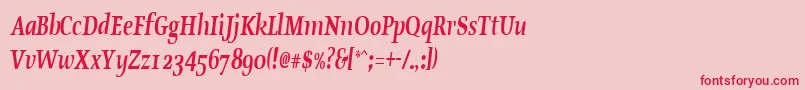 OldstylecondensedBoldItalic Font – Red Fonts on Pink Background