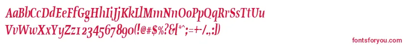 OldstylecondensedBoldItalic Font – Red Fonts on White Background