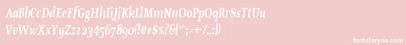 OldstylecondensedBoldItalic Font – White Fonts on Pink Background