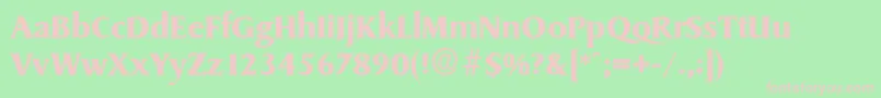 SydneySerialBoldDb Font – Pink Fonts on Green Background