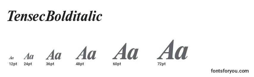 TensecBolditalic Font Sizes
