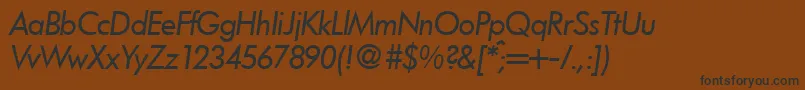 FunctiontwoRegularitalic Font – Black Fonts on Brown Background