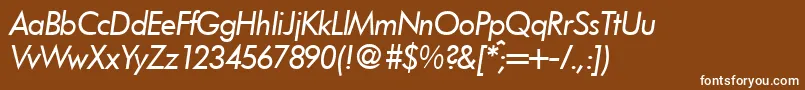 FunctiontwoRegularitalic Font – White Fonts on Brown Background