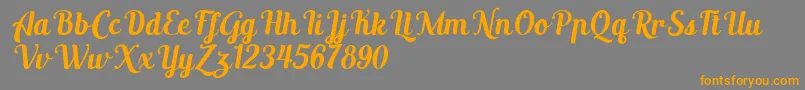 AltoysitalicPersonalOnly Font – Orange Fonts on Gray Background