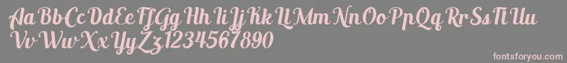 AltoysitalicPersonalOnly Font – Pink Fonts on Gray Background