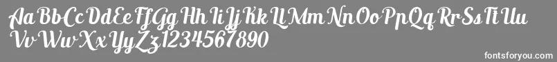 AltoysitalicPersonalOnly Font – White Fonts on Gray Background