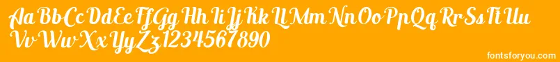 AltoysitalicPersonalOnly Font – White Fonts on Orange Background