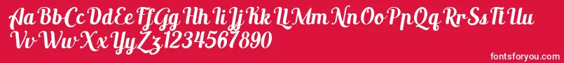 AltoysitalicPersonalOnly Font – White Fonts on Red Background