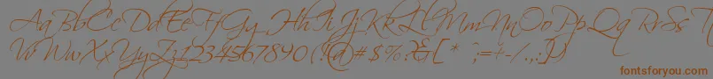 Scriptina-fontti – ruskeat fontit harmaalla taustalla