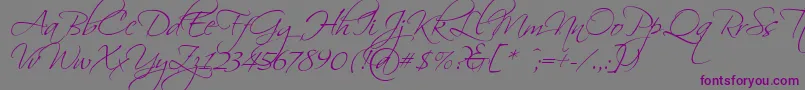 Scriptina Font – Purple Fonts on Gray Background