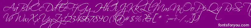 Scriptina Font – White Fonts on Purple Background
