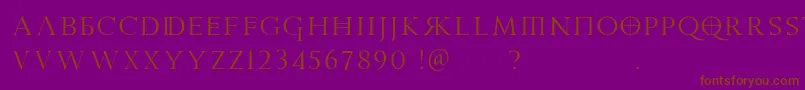 PraetoriaD Font – Brown Fonts on Purple Background