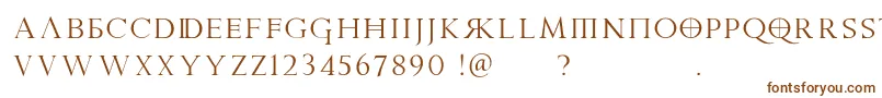 Шрифт PraetoriaD – коричневые шрифты на белом фоне