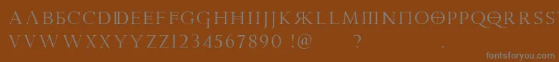 フォントPraetoriaD – 茶色の背景に灰色の文字