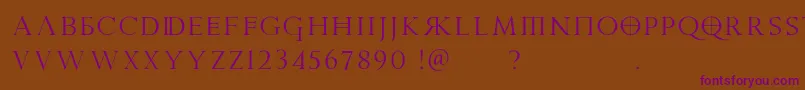 PraetoriaD Font – Purple Fonts on Brown Background