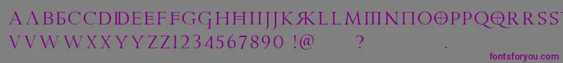 Шрифт PraetoriaD – фиолетовые шрифты на сером фоне