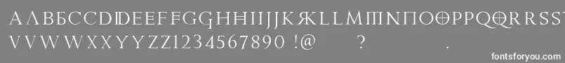 Шрифт PraetoriaD – белые шрифты на сером фоне