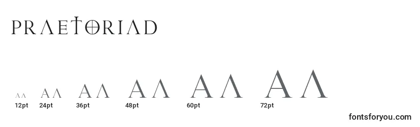 PraetoriaD Font Sizes