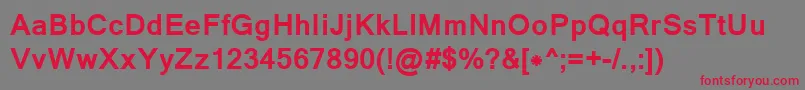 LathaBold Font – Red Fonts on Gray Background