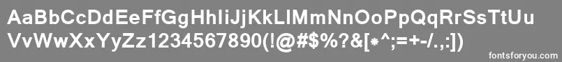 LathaBold Font – White Fonts on Gray Background