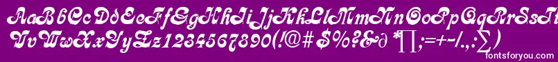 CalligraphiaDb Font – White Fonts on Purple Background