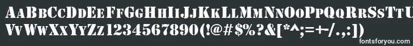 GeArmyBlockCaps Font – White Fonts on Black Background