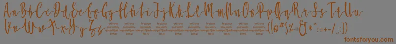 MollucaFree-Schriftart – Braune Schriften auf grauem Hintergrund