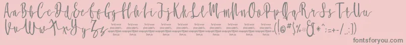 MollucaFree Font – Gray Fonts on Pink Background