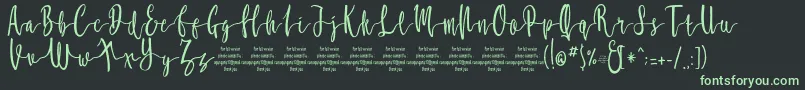 MollucaFree Font – Green Fonts on Black Background