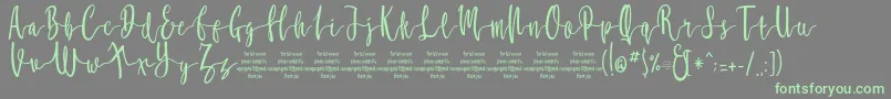 MollucaFree Font – Green Fonts on Gray Background